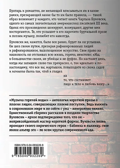 Музыка горячей воды - фото 2