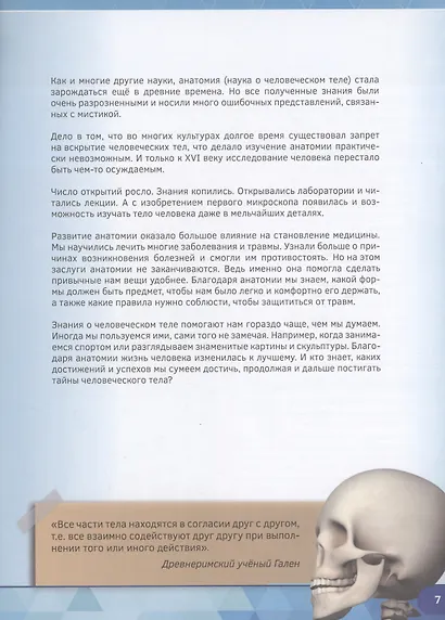 Анатомия человека - фото 4