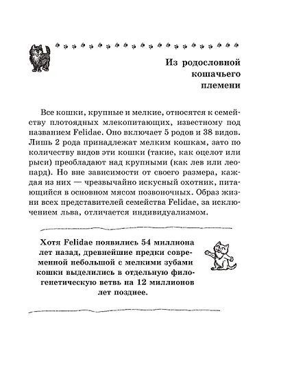 Кошка. Полное руководство по воспитанию и уходу - фото 8