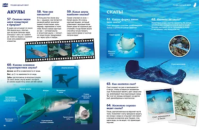 Подводный мир - фото 14