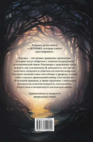 Магия леса. Секреты общения с деревьями - фото 2