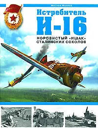 Истребитель И-16. Норовистый "ишак" сталинских соколов - фото 1
