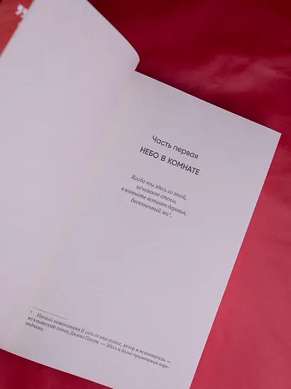 Цыганская невеста. Инспектор полиции Элена Бланко. Книга I - фото 8