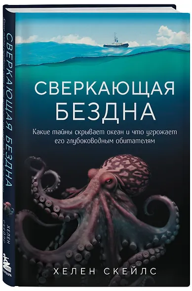 Сверкающая бездна. Какие тайны скрывает океан и что угрожает его глубоководным обитателям - фото 3