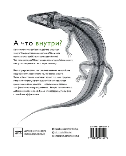 Вижу насквозь. Уникальные рентгеновские снимки животных - фото 2