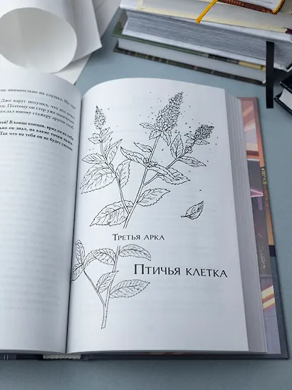 Первоклассный адвокат. Том 2 (Ace Attorney). Новелла - фото 11