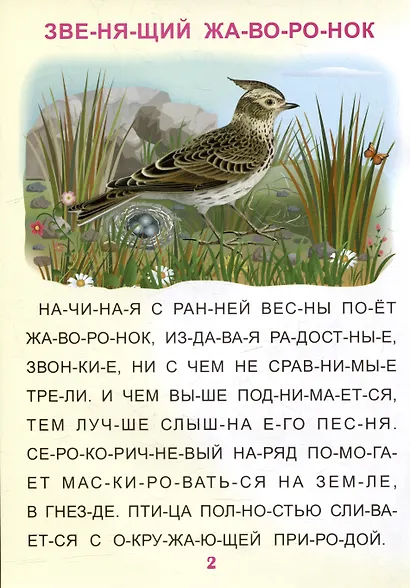 Читаем по слогам. Крупные буквы. Читалочки-познавалочки. Рассказы: слоговой тренажер - фото 2