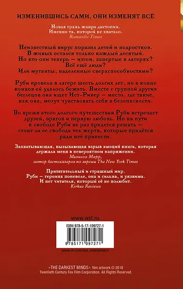 Темные отражения - фото 2