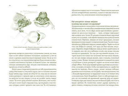 Лето. Секреты выживания растений и животных в сезон изобилия - фото 7