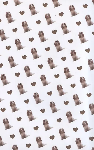 Любовь в форме сердца - фото 3