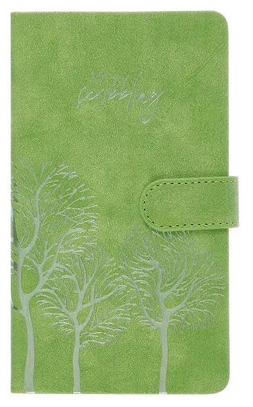 Ежедневник недат. А6+ 120л 110x190 "Тиволи" зеленый, кожзам, тв.переплет, тисн.фольгой, магнит.клапан, офсет, загругл.углы, справ.мат-лшы, ляссе, инд.уп - фото 1