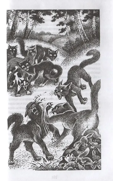 Гроза и Тень - фото 5