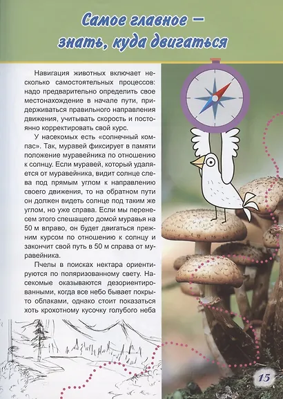 Летят перелетные птицы - фото 4