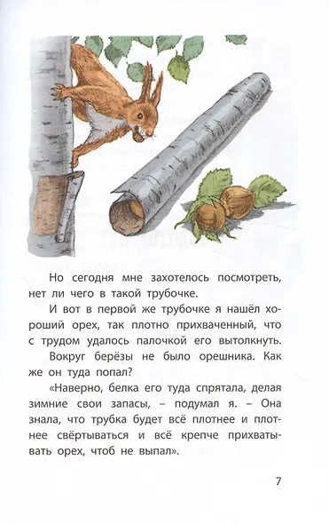 Моя Родина. Рассказы - фото 6