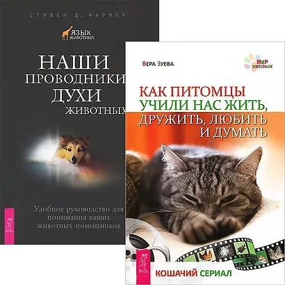 Как стать миллионером: Законы внутреннего и внешнего богатства - фото 1