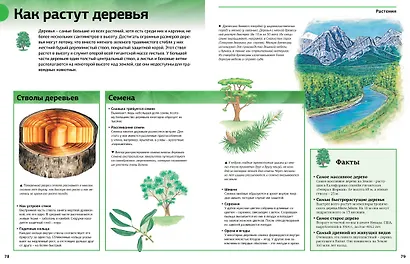 Новая энциклопедия школьника - фото 5