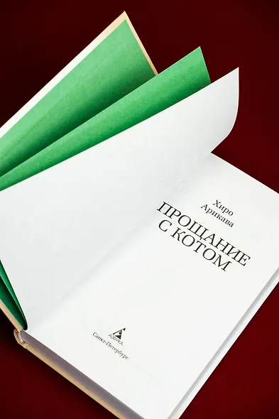 Прощание с котом - фото 15