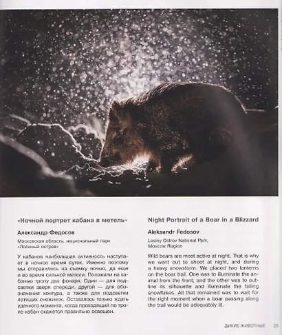 Россия самая красивая страна. Фотоконкурс 2025 - фото 9