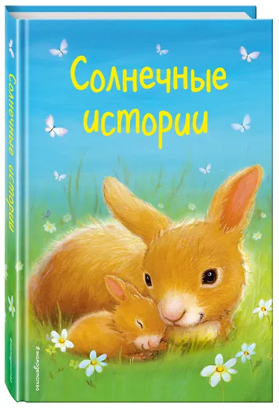 Солнечные истории (выпуск 3) - фото 3