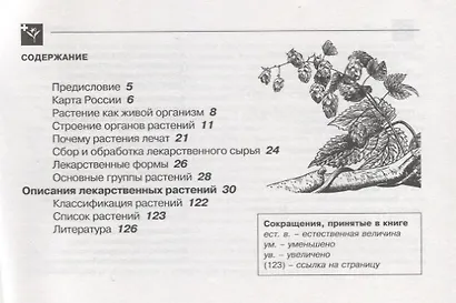 Лекарственные растения. Карманный определитель лекарственных растений средней полосы Европейской части России - фото 2