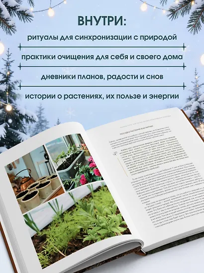 Шаманчай: год в гармонии с природой. Книга о растениях, их силах и применении - фото 4