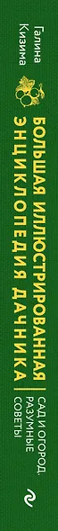 Большая иллюстрированная энциклопедия дачника. Сад и огород. Разумные советы (оф. 2) - фото 5