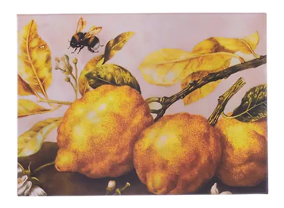 Коробка подарочная "ART. Гарцони Д. Натюрморт с лимонами" 20,5*13,5*6, Schiller - фото 5