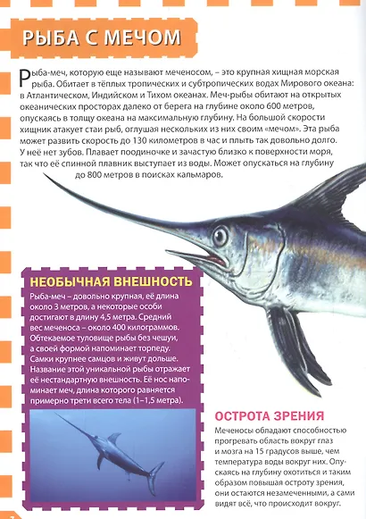 Морские обитатели - фото 4