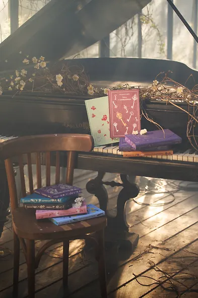 Коллекционер - фото 10