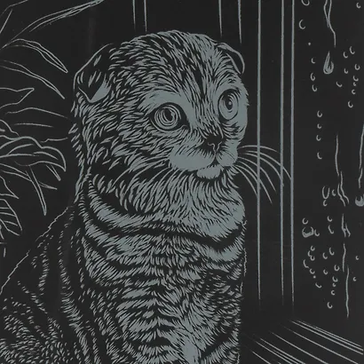 Набор для творчества. Гравюра большая с эффектом серебро "Шотландская вислоухая" - фото 3