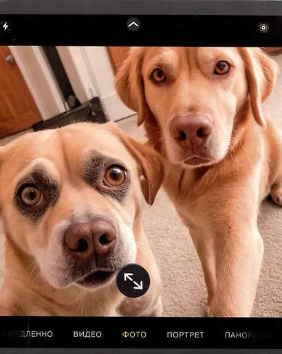 Тетрадь 48л кл. "Зверо-селфи" мел.картон, мат.ламинация, ассорти - фото 4