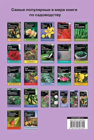 Все об орхидеях - фото 2