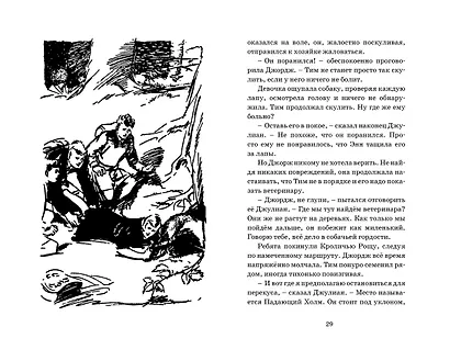 Подарок для королевы. Книга 10 - фото 9