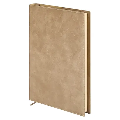 Ежедневник недат. А5+ 160л "Фланстер" бежевый, мягк.переплёт, иск.кожа, ляссе, подар.карт.коробка с ПВХ-крышкой - фото 3