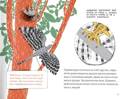 Почему голова чешется? - фото 3