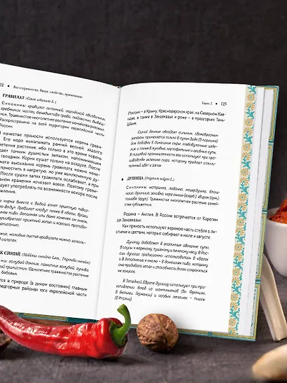 Все о пряностях (подарочное издание с запечатанным обрезом, фольгой и тиснением) - фото 14