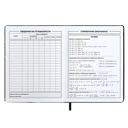 Дневник школьный Феникс+, "Девушка" - фото 8