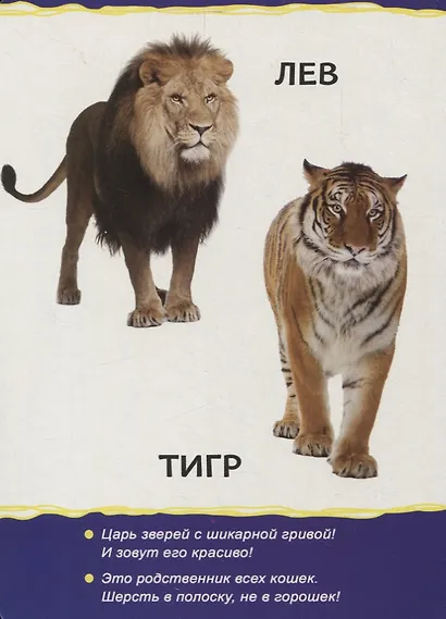 Животные зоопарка - фото 2