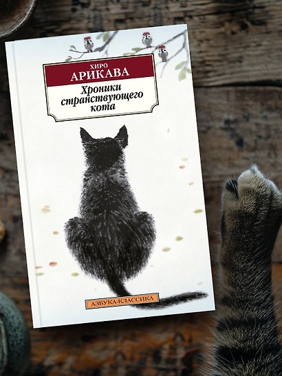 Хроники странствующего кота - фото 10