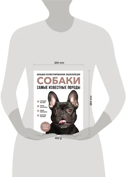 Самые известные породы. СОБАКИ. Большая иллюстрированная энциклопедия - фото 8