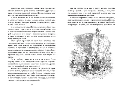 Робинзон Крузо - фото 12