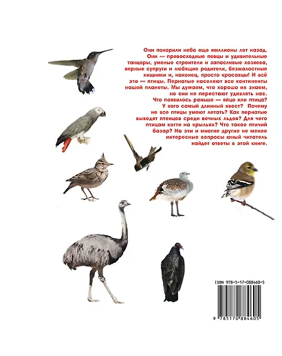 Птицы - фото 2