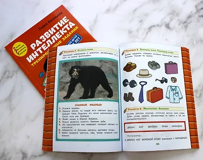 Развитие интеллекта: для детей 6-7 лет (Пособие + Рабочая тетрадь) (комплект из 2 книг) - фото 6