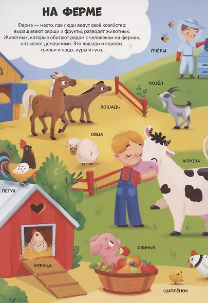 Знания в окошках. Животные - фото 3