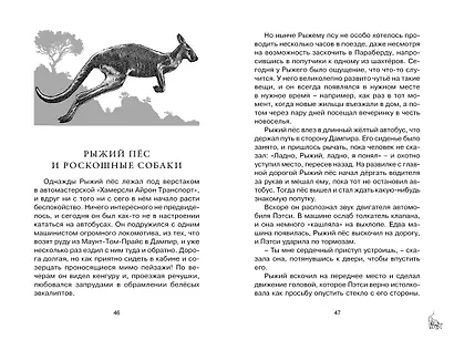 Рыжий пёс - фото 9
