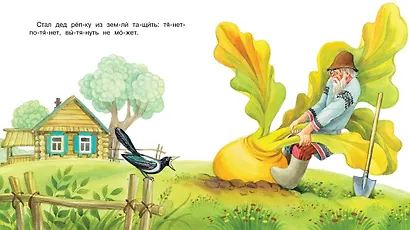 Репка - фото 3