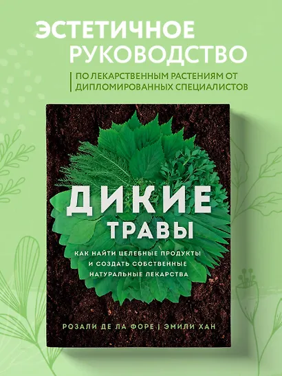 Дикие травы: как найти целебные продукты и создать собственные натуральные лекарства - фото 4