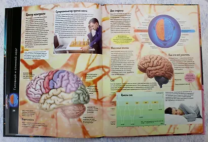 Тело человека. Виртуальная реальность - фото 6