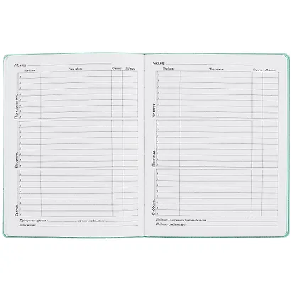 Дневник школьный Listoff, "Silver Lines. Amazing" - фото 2