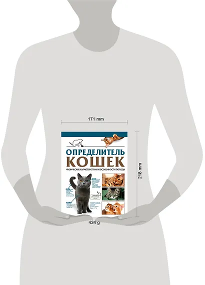 Определитель кошек. Физические характеристики и особенности породы - фото 4